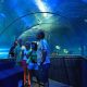 vinpearl-aquarium-times-city