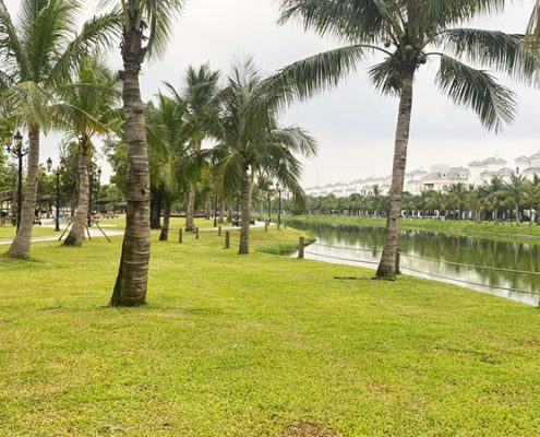 ho-dao-co-vinhomes-ocean-park